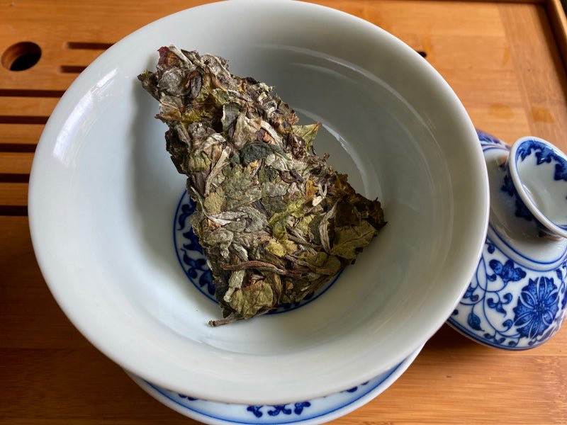 2020 Yunnan Old Tree Tea Moonlight White Tea Cake - 100g - The Honourable Tea Company
