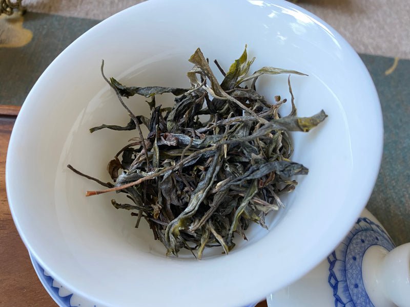 2022 Old Tea Tree Early Spring - Raw Pu - erh - 357g - The Honourable Tea Company