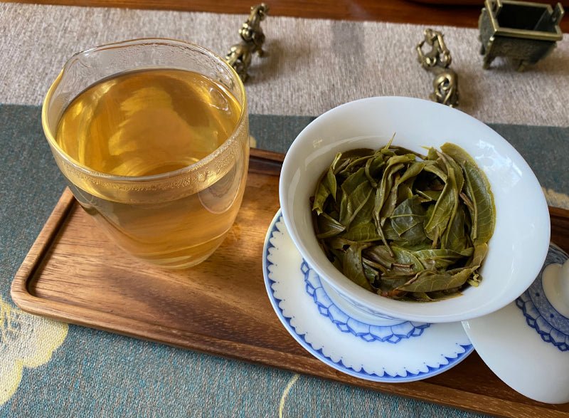 2022 Old Tea Tree Early Spring - Raw Pu - erh - 357g - The Honourable Tea Company