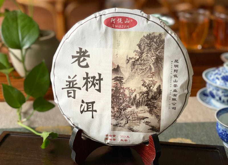 2022 Old Tea Tree Early Spring - Raw Pu - erh - 357g - The Honourable Tea Company