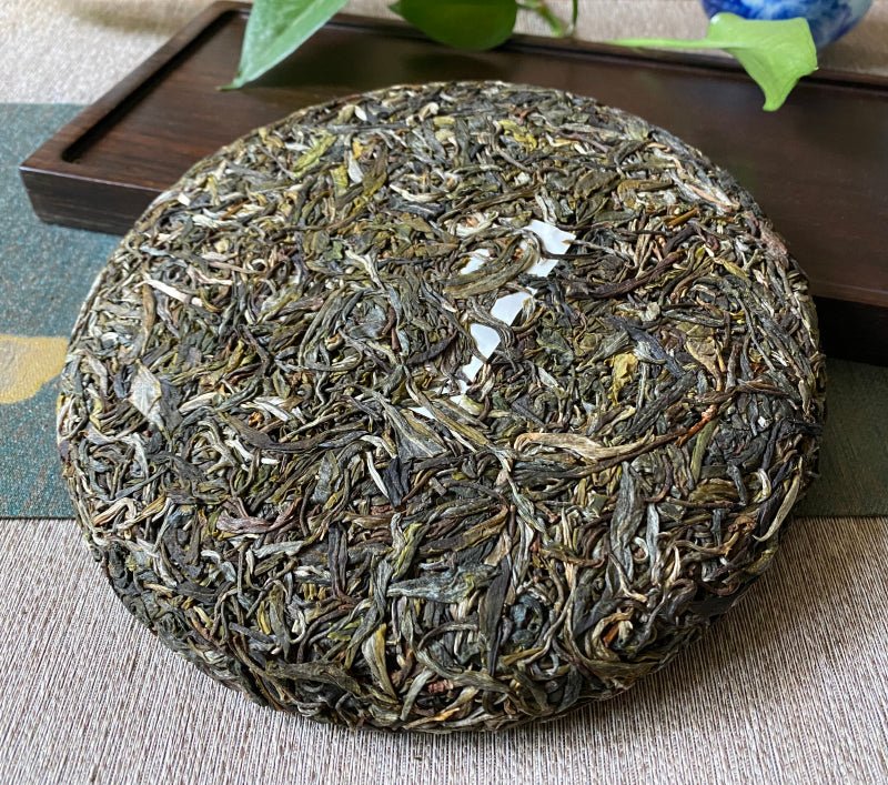 2022 Old Tea Tree Early Spring - Raw Pu - erh - 357g - The Honourable Tea Company
