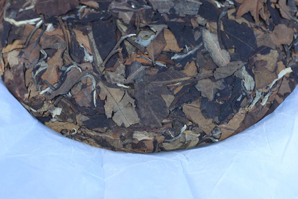 Summer 2021 Jingmai - White - 357g - The Honourable Tea Company